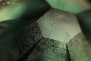 Trapiche emeralds display a striking hexagonal pattern, a reflection of the crystal’s underlying symmetry.