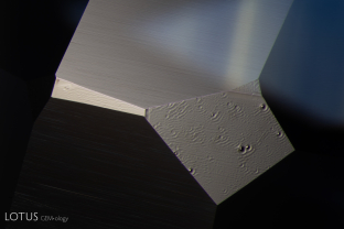 A subtle sign of treatment. Ruby and sapphire surfaces often develop a melted texture when heated, sometimes forming “frozen” droplets that resemble water but cannot be wiped away. To minimize this appearance, stones are frequently repolished. In this case, a few facets were missed, leaving behind telltale signs of heat treatment.