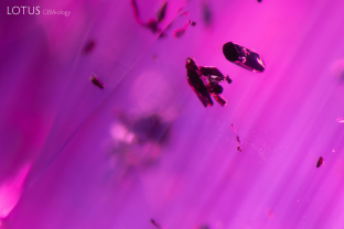 A cluster of prismatic crystals, resembling primary rutile, with delicate silk needles extending nearby.