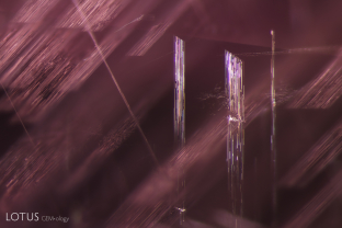 Parallel bands of fine dislocation needles decorate the interior of this spinel. Vietnamese spinels often contain these types of inclusions.