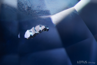 A terrace-like structure on this stacked negative crystal creates a distinctive internal landscape in this untreated sapphire from Sri Lanka. The large flat faces are basal pinacoid faces, which lie perpendicular to the c-axis.