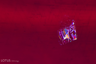 A melted fingerprint with drippy edges provides evidence that this ruby was heated.