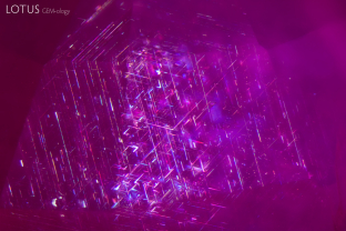 While superficially the rutile silk in this ruby may look intact, closer observation reveals that some of the needles have started to break down and develop gaps. Other evidence in the stone confirmed that this ruby was heated.