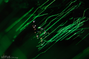 Needle-like inclusions and platelets form a pattern reminiscent of circuit-board traces.