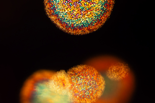 Thin film decrepitation inclusions create a firework display in this beryllium diffused orange sapphire. These likely developed as a consequence of the sapphire being heat treated.