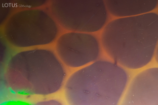 Play of color and a cellular structure can be observed in this opal. Areas around fine scratches in the stone display a dark color concentration, providing evidence that the stone was smoke treated.