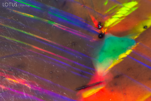 In addition to the dazzling play of color display in this opal, several black spots can be observed. These are particularly concentrated around the pits and scratches on the surface, as well as appearing in fainter blotches elsewhere in the stone.