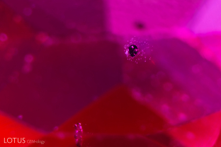 A dark platelet surrounded by gas bubbles in a flame fusion synthetic ruby. This platelet may be a concentration of the chromium coloring agent and alumina used in the growth process.