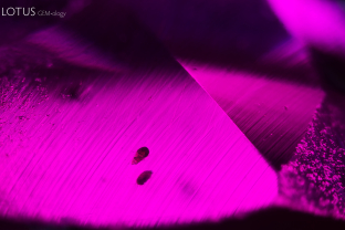 Curved striae and dark inclusions in a flame fusion synthetic ruby. The dark areas may be concentrations of coloring agents and alumina used in the growth process.