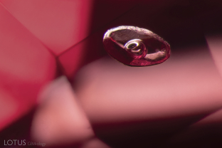 A large negative crystal with a mobile gas bubble resides in this unheated Burmese spinel. Analyses with microRaman spectroscopy were inconclusive. However, a near-invisible fissure extends through this negative crystal to the surface. By using a hot point, oil leaked out of this fissure and others around the stone. Therefore, the cavity may be filled with oil.
