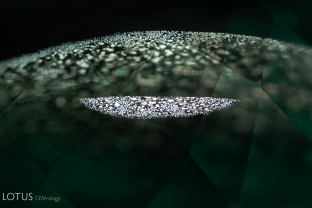 When illuminated with fiber optic light, the thin films in this Russian emerald stand out sharply against their verdant background.