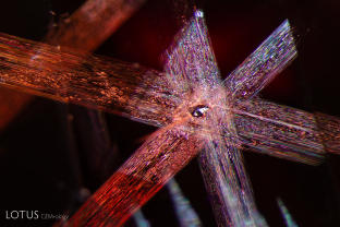 Stellar spinel. Bands of dislocation needles radiate around a dolomite crystal (identified with micro Raman) to create a stellate pattern in this spinel.