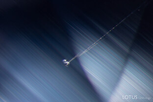 A tiny crystal with comet-tail background reveals distinct growth zoning in this unheated Madagascar sapphire.