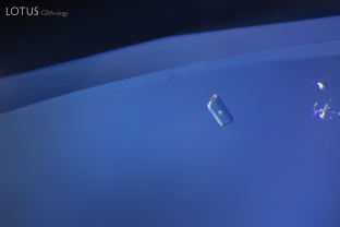 A transparent, prismatic feldspar crystal (identified with micro Raman) can be seen nestled just by the girdle of this untreated sapphire.