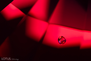 When viewed under the microscope, this spinel can be seen hosting a tiny dolomite inclusion, which was identified with Raman spectroscopy.