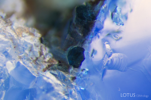 Under magnification, a green crystal could be observed on the surface of this sapphire. Micro Raman analysis identified it as tourmaline, a mineral known to occur in Kashmir sapphire.