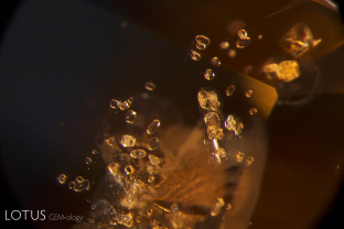 Crystals of what are probably apatite in a heated bi-color sapphire from Sri Lanka.