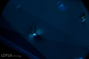 Resembling small flying insects, zircon crystals with radiation-induced stress halos are a common feature in Ceylon sapphires.