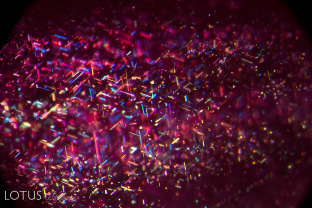 Short rutile needles light up the interior of this ruby from Mogok, Myanmar. These represent secondary inclusions, meaning inclusions that formed after the host. Rutile silk forms in corundum through exsolution—the unmixing of a solid solution.
