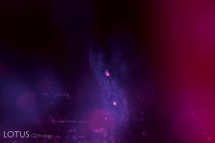 Unusual clouds in a heat-treated ruby said to be from Madagascar. The bluish color is created by Tyndall scattering, light scattering from particles in a fine suspension. Tyndall scattering is also responsible for the blue irises of the human eye and the blue color of opalescent glass.