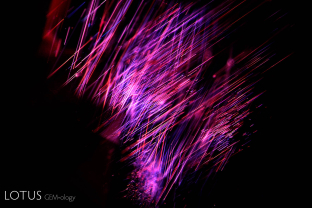 Rutile silk creates a magical display of light within the red chamber of this Mogok ruby.