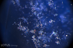 Irregular inclusions of unknown nature lying in the basal plane are seen in reflected light within this heat-treated Sri Lanka sapphire. These have sometimes been associated with beryllium diffusion, but are not diagnostic for it.