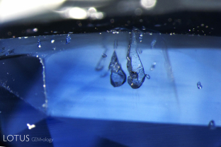 Negative crystals seeking the surface in this natural Sri Lanka sapphire. In many cases, negative crystals cannot withstand high-temperature heating and so when they are found in an undamaged state, represent strong indications that the gem has not undergone heat treatment.