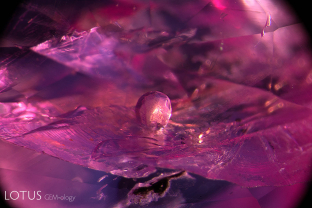 Rounded crystal of what is probably apatite rised above a fissure in this ruby from Vietnam’s Luc Yen region.