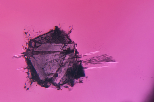 A large winged spinel octahedron hovering within a red spinel from Pyaung Gaung, in Burma’s Mogok Stone Tract. 