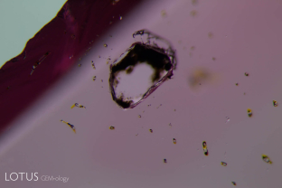 A sulfur-rich fluid inclusion after cutting down to expose it at the surface reveals that the orange material is a fluid that has leaked out, revealing to to most likely be a hydrocarbon like petroleum oil.