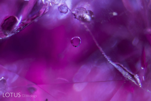 This undamaged negative crystal offers proof of untreated origin in this ruby from Tajikistan.