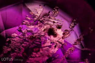 Negative crystals filled with a transparent birefringent material (probably calcite) stand out in high relied when viewed between crossed polars in this Tajik ruby.