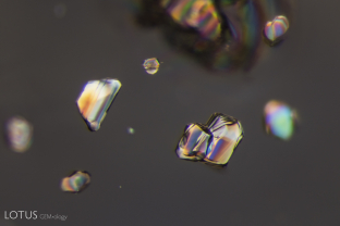 Transparent, doubly refractive crystals show multicolored hues under crossed polars in this sapphire from Nigeria’s Mambilla region.