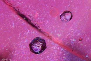 Euhedral crystals are suspended amongst a cloud of rutile silk in this ruby from Myanmar’s Mogok stone tract.