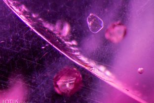 A transparent zircon crystal stands out against a backdrop of undissolved rutile silk in this Mogok ruby.