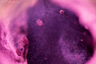 This Mogok ruby contained an interesting inclusion scene. The three crystals on the left are mica, and the top right is garnet. In the background we can see undissolved rutile silk needles, a hallmark of this type of material.