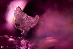 A croissant-shaped calcite crystal is suspended in this ruby from Mogok, Myanmar. Calcite is a common inclusion in rubies from this locality.