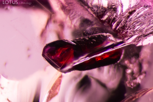 While analysis with micro Raman did not yield conclusive results for this inclusion, it is likely a primary rutile crystal.