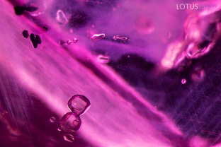 A variety of solid inclusions can be seen in this Myanmar (Burma) ruby. At the bottom we have a pair of transparent apatite crystals. At top left there is a cluster of dark primary rutile crystals, and at top center there are some small, transparent feldspar crystals.