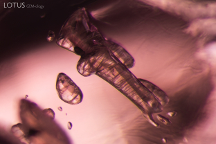 These mica crystals, encapsulated in a ruby from Mogok, Myanmar (Burma), show a series of striations on their surfaces.