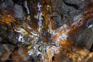 A trapiche pattern shines in this untreated sapphire from Rubyvale, Australia.