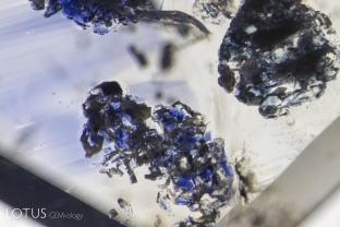 Kashmir sapphires are unique in that the skin of many crystals feature deep blue spots of color, like spots on a leopard’s back. These are sometimes incorporated into finished stones, where they will be found just below the surface.
