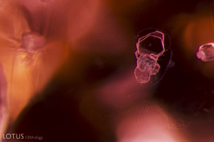 Transparent, doubly refractive crystals in a spinel from Vietnam.