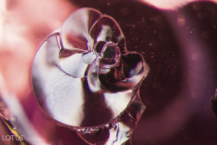 An irregular metallic crystal shines in this ruby from Baringo, Kenya.