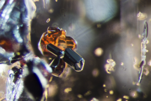 Primary rutile crystals in a sapphire from Colombia’s Mercaderes mines.