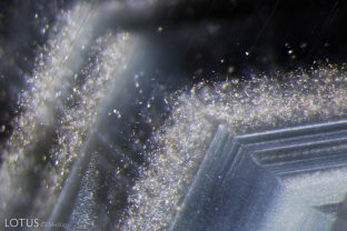 Angular growth zoning with clouds of fine particles and needles in an unheated Cyangugu sapphire.