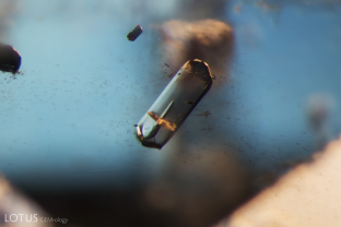 A prism of what is probably apatite in an unheated Songea sapphire.