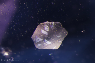 An unusual metallic platelet of unknown identity, along with small zircons in a sapphire from Tunduru.