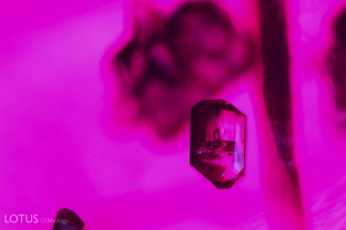 Prismatic crystal of an unknown identity in a Chimwadzulu Hill ruby.