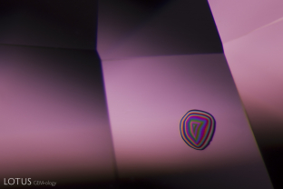 A transparent, birefringent crystal displays a technicolor bull’s eye pattern when viewed in crossed polars.